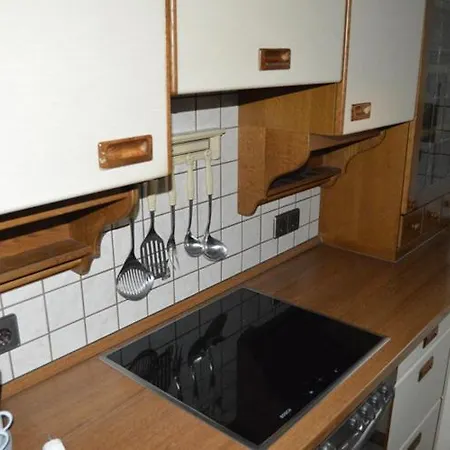 Ferienwohnung 아파트 레네슈타트